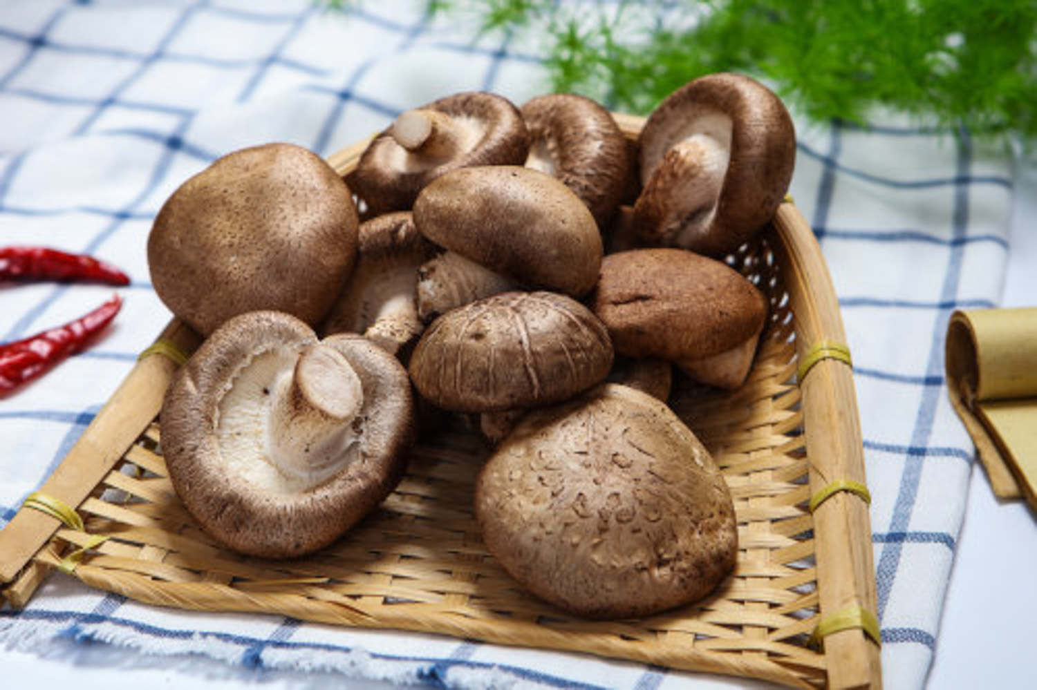 香菇 香菇