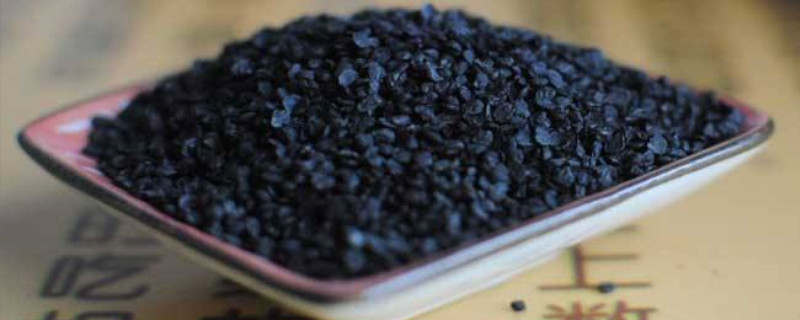 韭菜籽什么时候播种 韭菜籽什么时候播种