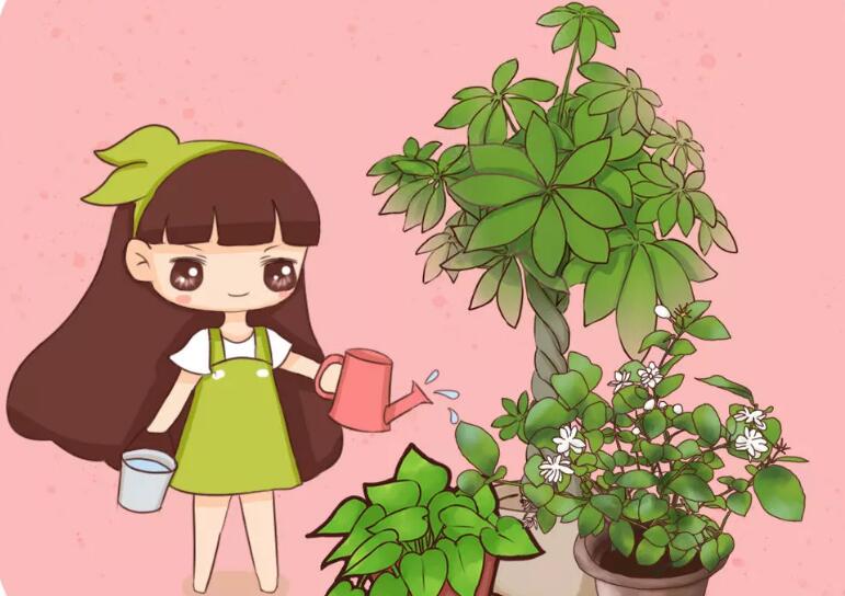 冬天给花一盆水,浇对了狂开花,浇错了死一片! 冬天给花一盆水,浇对了狂开花,浇错了死一片!