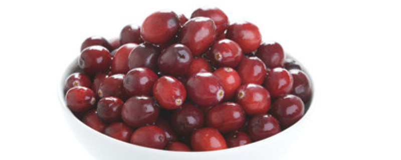 蔓越莓长在地面上还是水里 蔓越莓长在地面上还是水里