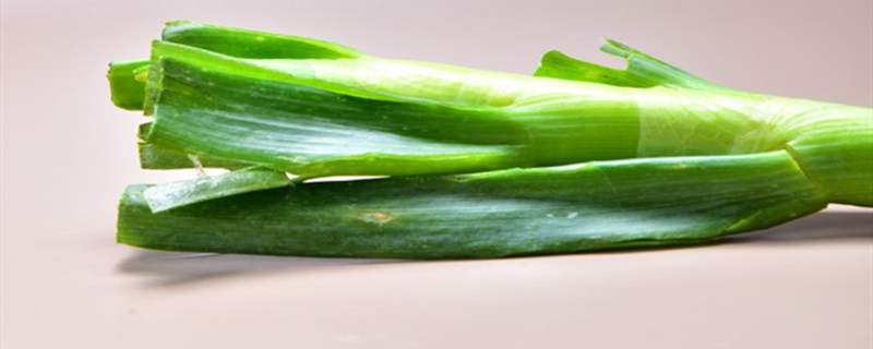 春季小葱什么时候种 春季小葱什么时候种