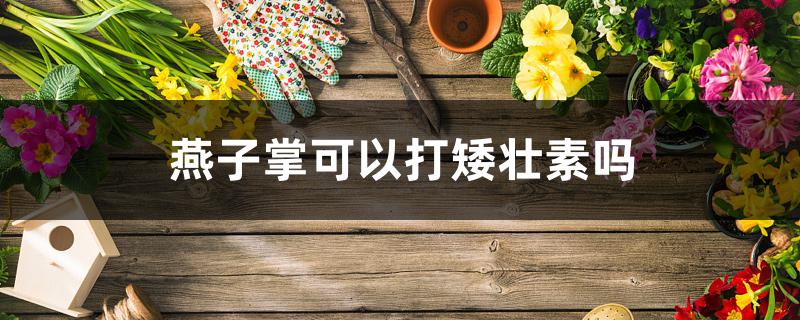 燕子掌可以打矮壮素吗 燕子掌可以打矮壮素吗