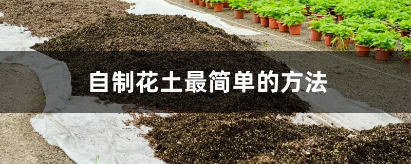 自制花土最简单的方法 自制花土最简单的方法