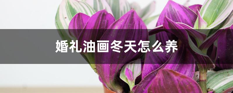 婚礼油画冬天怎么养 婚礼油画冬天怎么养