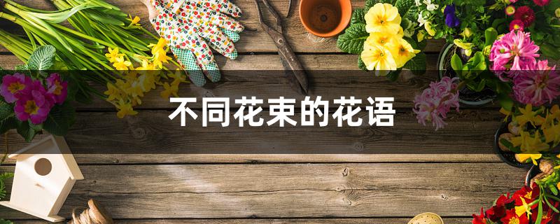 不同花束的花语 不同花束的花语