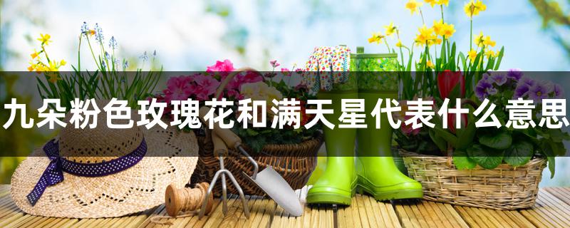 九朵粉色玫瑰花和满天星代表什么意思 九朵粉色玫瑰花和满天星代表什么意思