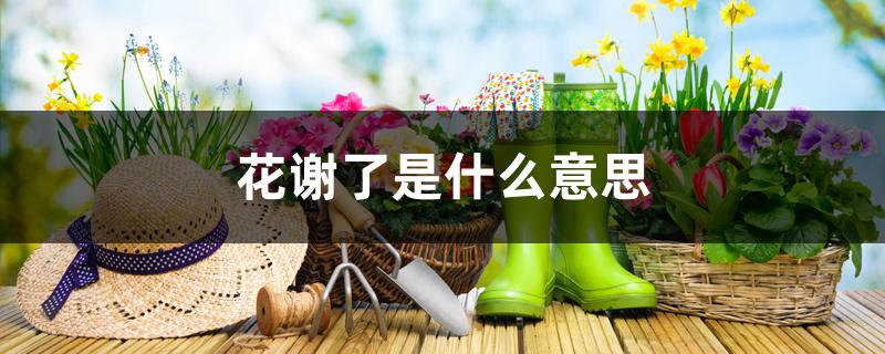 花谢了是什么意思 花谢了是什么意思