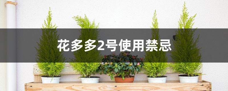 花多多2号使用禁忌 花多多2号使用禁忌