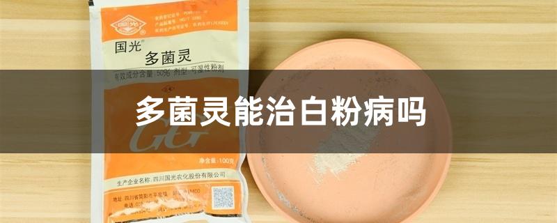 多菌灵能治白粉病吗 多菌灵能治白粉病吗