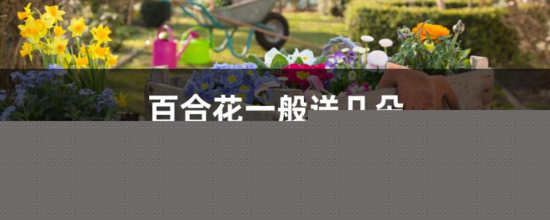 百合花一般送几朵 百合花一般送几朵