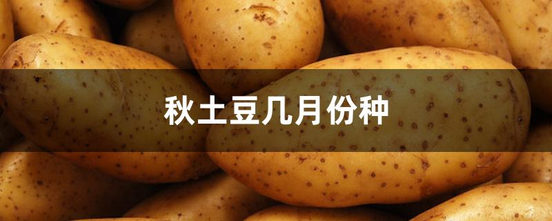 秋土豆几月份种 秋土豆几月份种