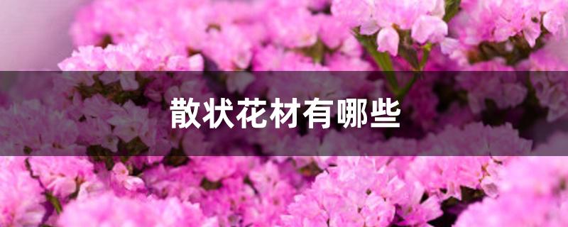 散状花材有哪些 散状花材有哪些