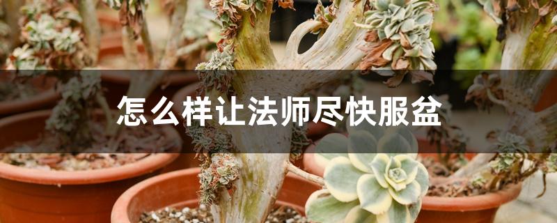 怎么样让法师尽快服盆 怎么样让法师尽快服盆