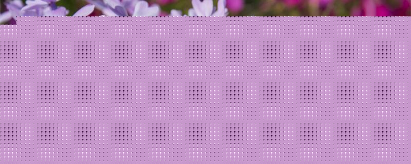 芝樱会自己繁殖吗 芝樱会自己繁殖吗
