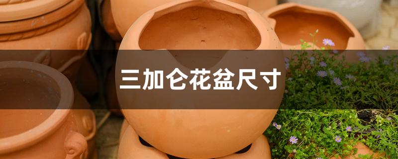 三加仑花盆尺寸 三加仑花盆尺寸
