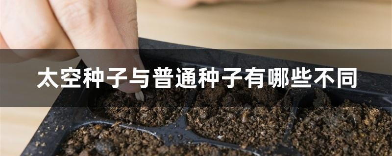 太空种子与普通种子有哪些不同 太空种子与普通种子有哪些不同