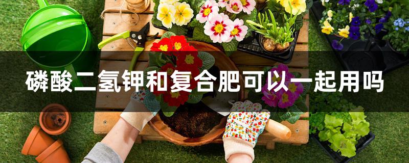 磷酸二氢钾和复合肥可以一起用吗 磷酸二氢钾和复合肥可以一起用吗