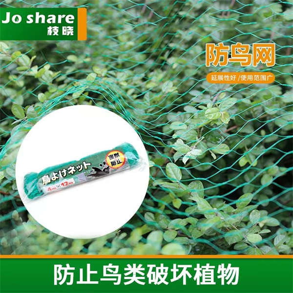 防鸟网 尼龙 樱桃丝网果园葡萄鱼塘网遮树草莓果树网
