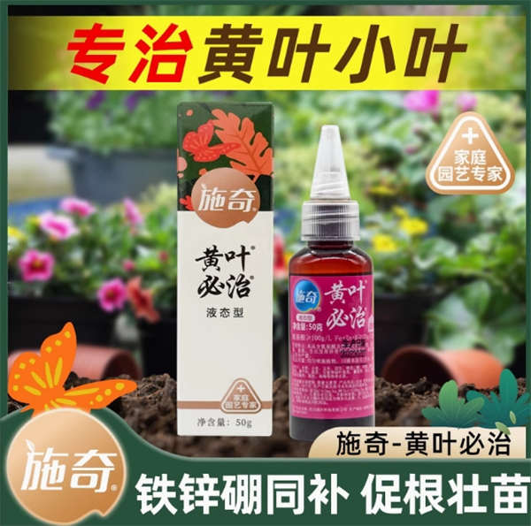 国光施奇黄叶必治氨基酸螯合铁微量元素肥料月季绣球叶面肥水溶肥