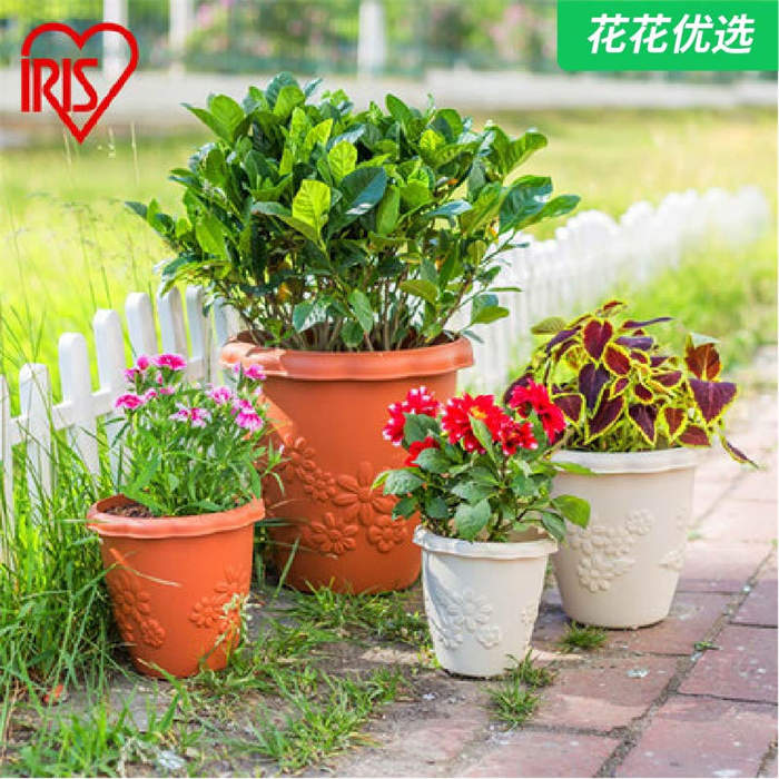 爱丽思中钵 长钵花盆 浮雕花盆