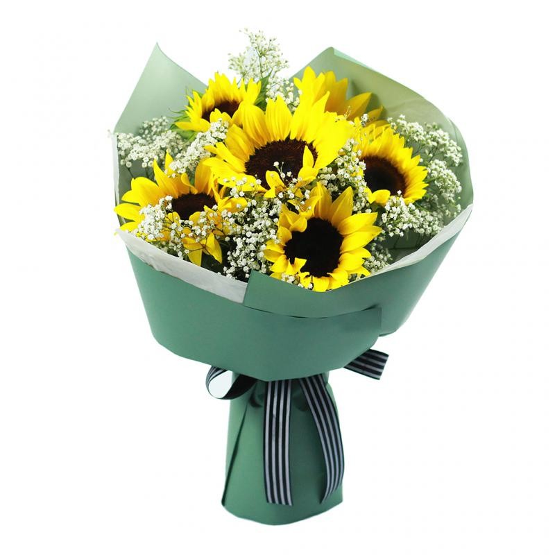 心中永远的太阳