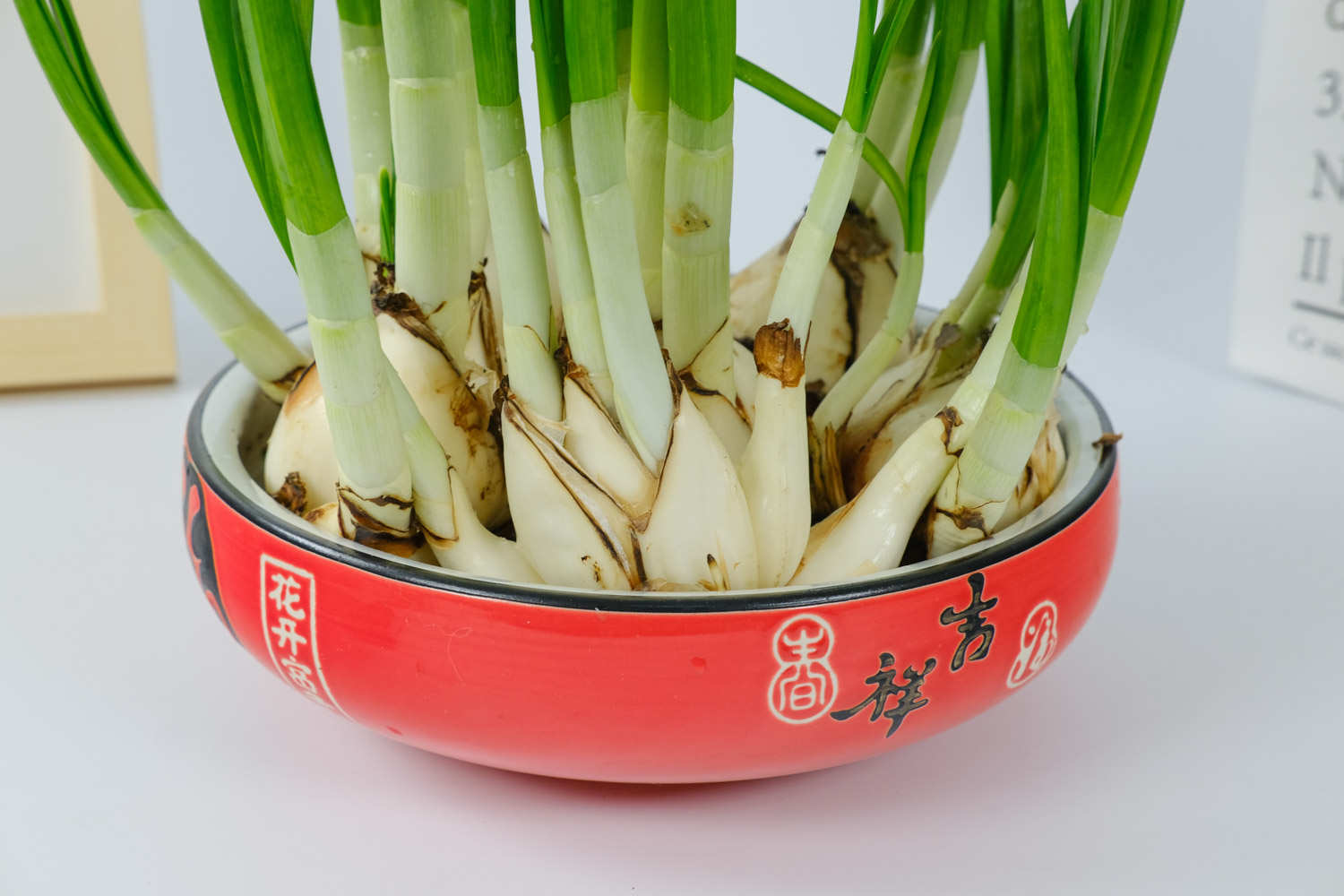 水仙花
