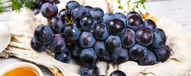 葡萄种了四五年为什么不结果