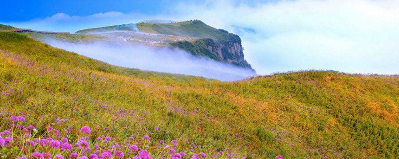 韭菜坪什么时候最漂亮