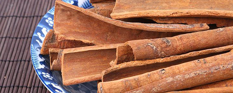 桂皮是什么树的皮