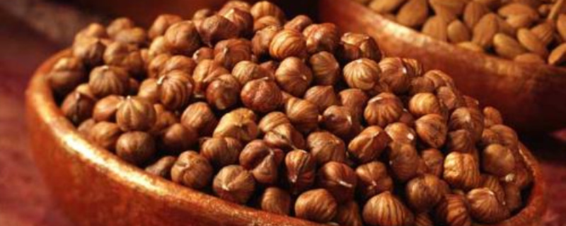 榛子是什么树的果实