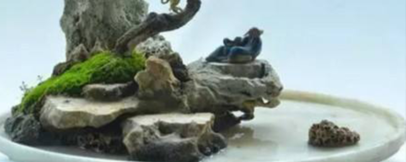 自制水旱盆景浅盆