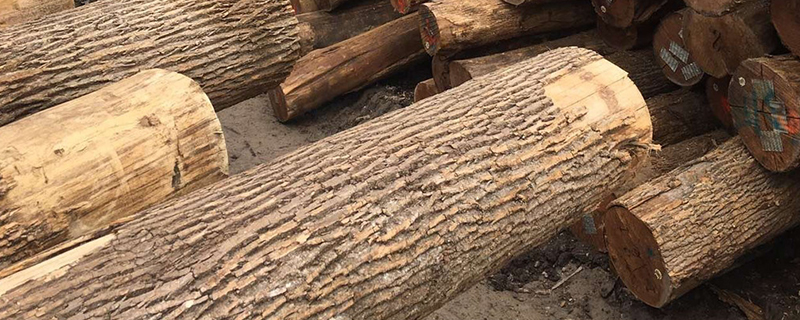 白蜡木和樱桃木哪个贵