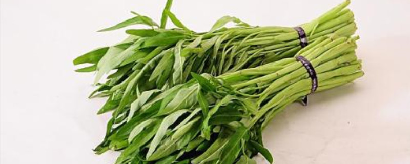 空心菜催芽方法