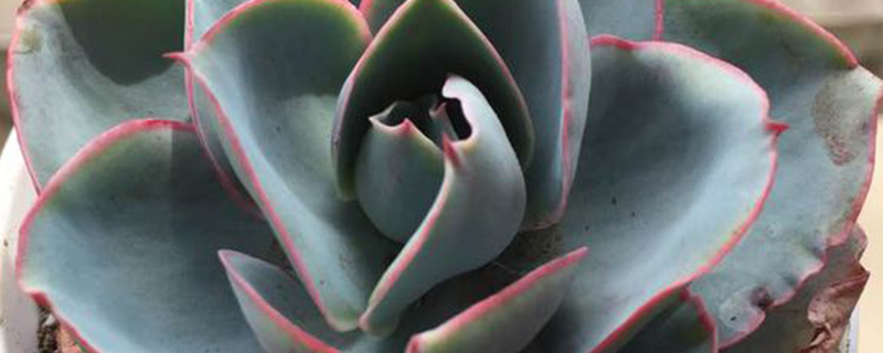 浸盆法 浸多少时间