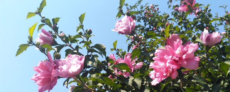 浇多少水才算浇足