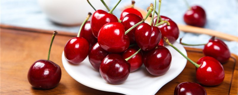 樱桃养多长时间会开花