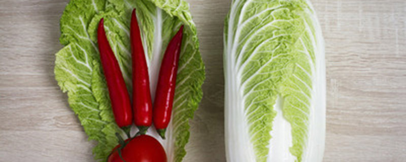 12月份应季蔬菜有哪些