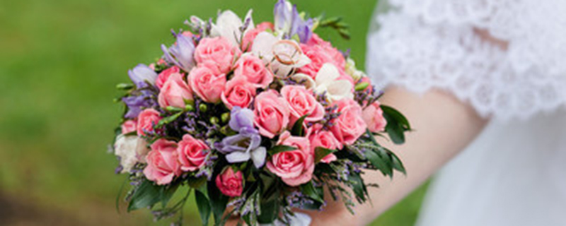 十七朵玫瑰代表什么意思