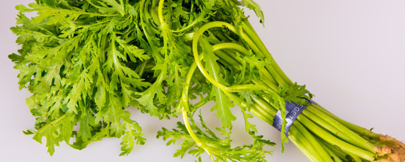 茼蒿怎么种，什么时候种