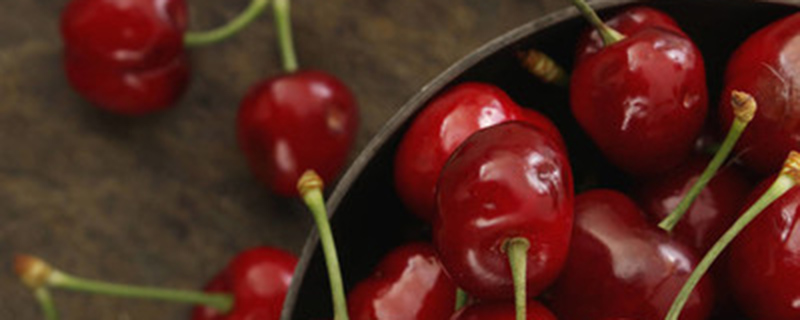 车厘子刚发芽就枯萎了