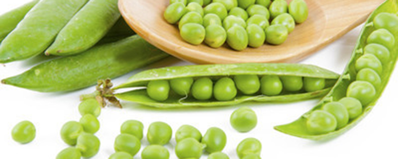 豌豆是黄豆吗