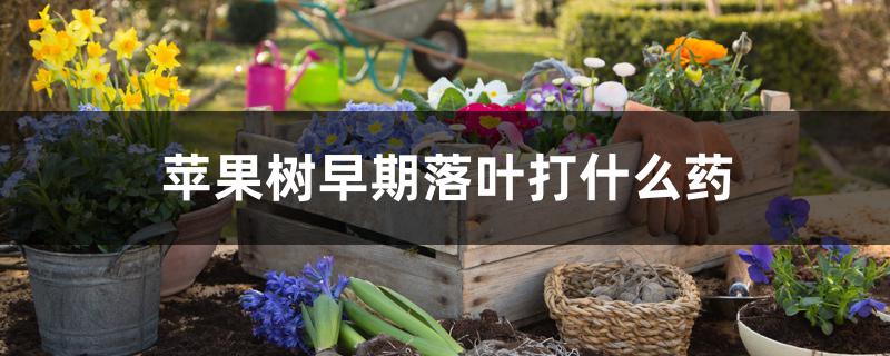 苹果树早期落叶打什么药