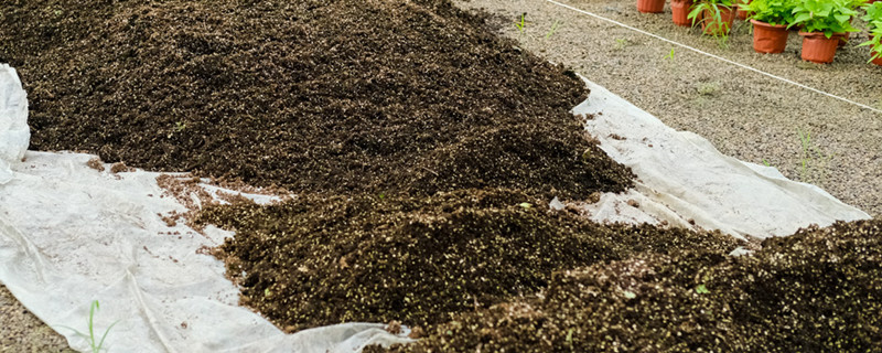 盆栽土里面有虫要怎么处理，如何预防虫害