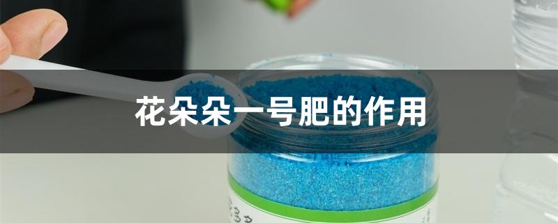 花多多一号肥的作用