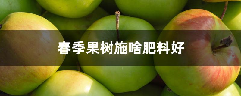 春季果树施啥肥料好