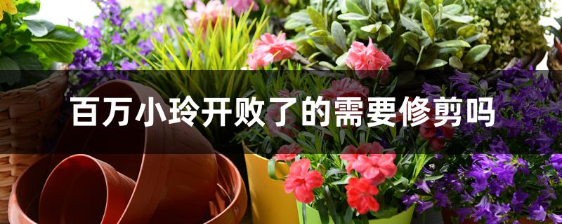 百万小玲开败了的需要修剪吗