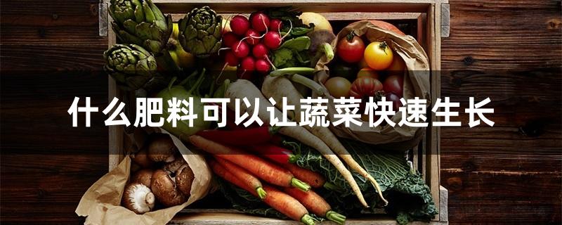 什么肥料可以让蔬菜快速生长