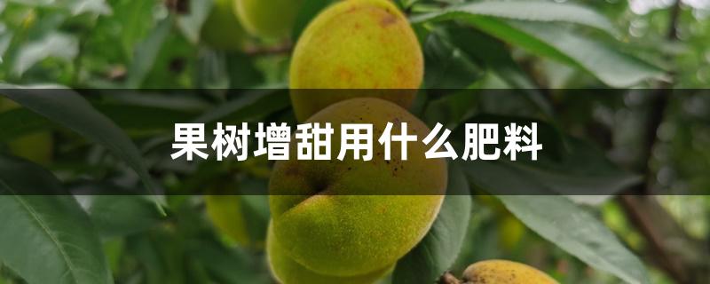 果树增甜用什么肥料