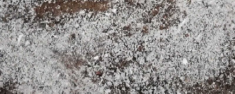 草木灰可以直接拌土用养花吗