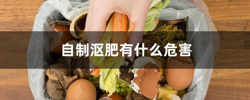 自制沤肥有什么危害